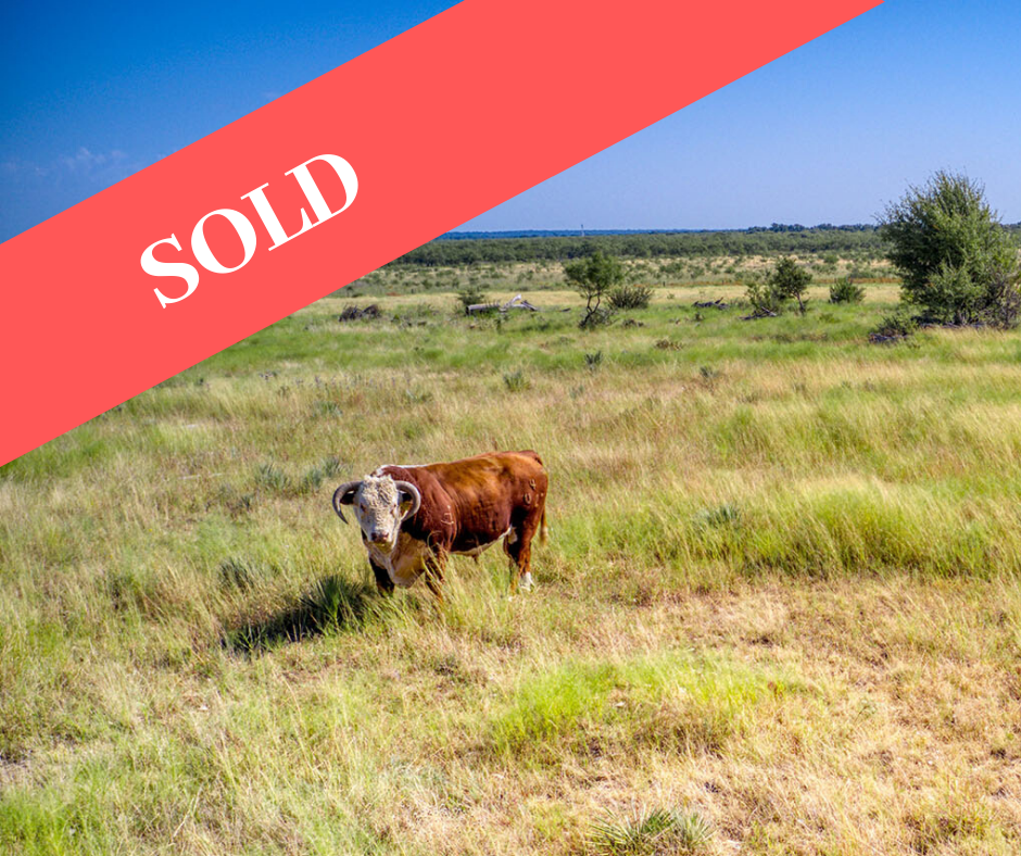 Properties for Sale The Whitehead Ranch