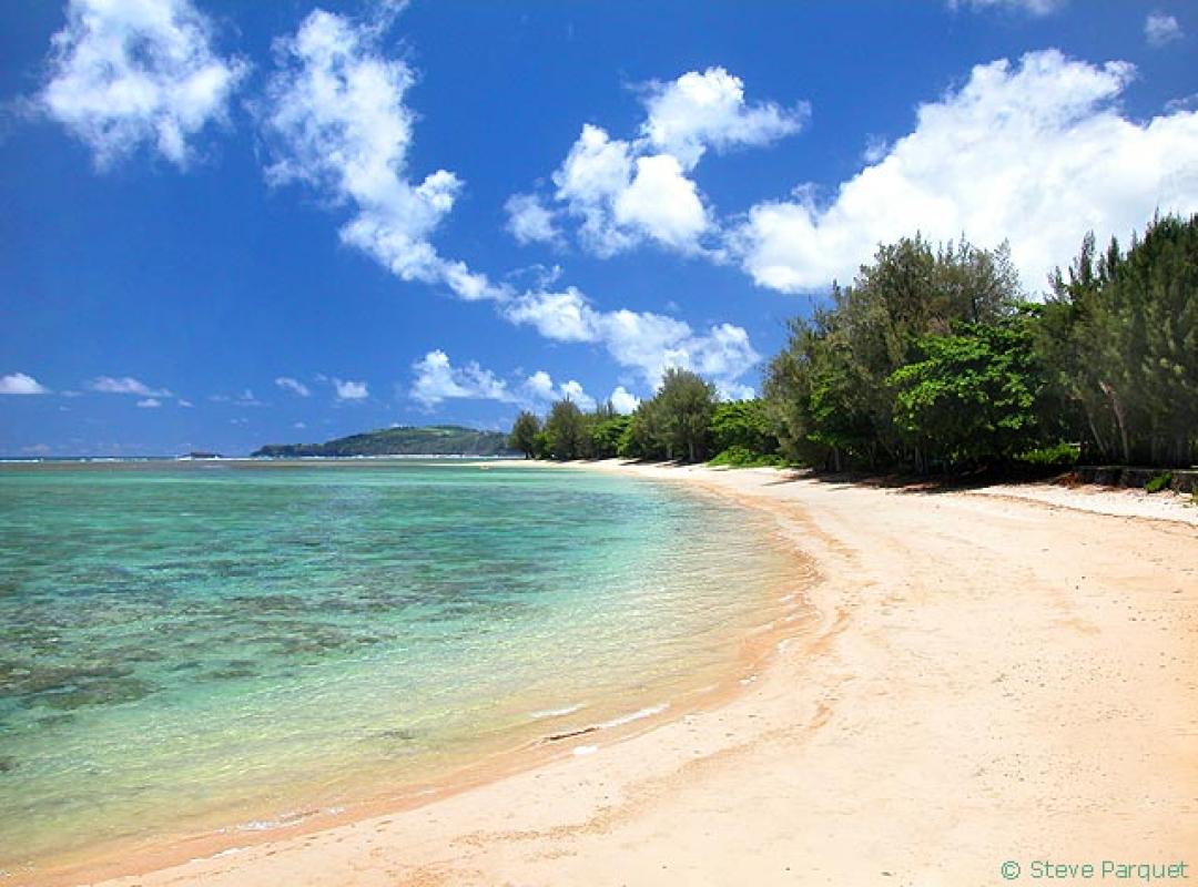Vacation House rentals in Kauai, 5 Bedrooms by owner 100404