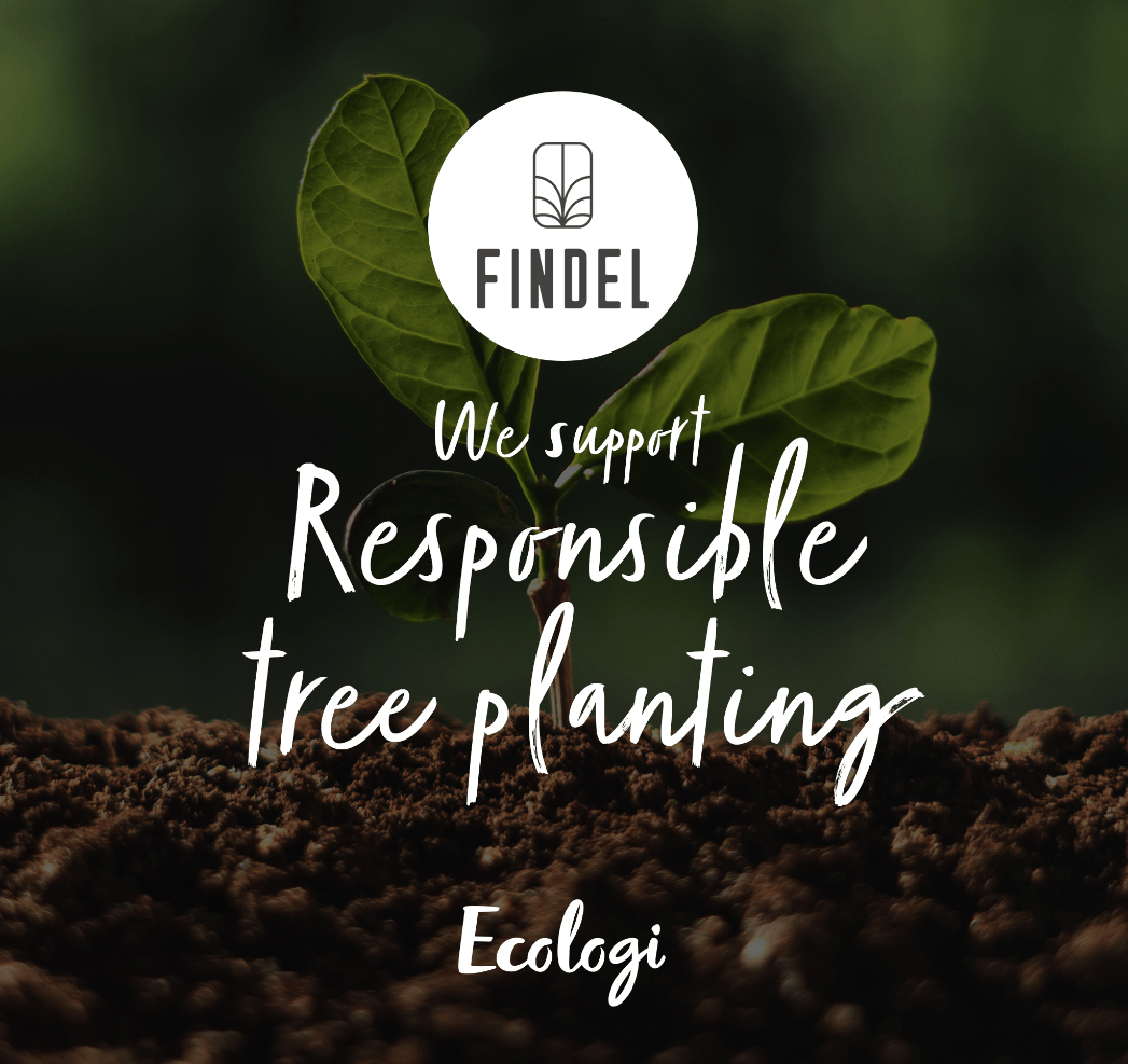 Celebrating a green milestone Findel plants over 5,000 trees with