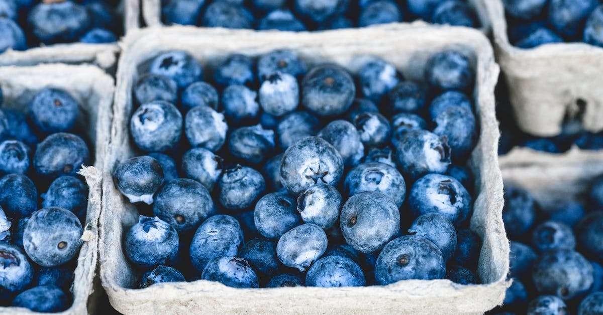 Pesticide Use in Organic Blueberry Farming Myths and Facts
