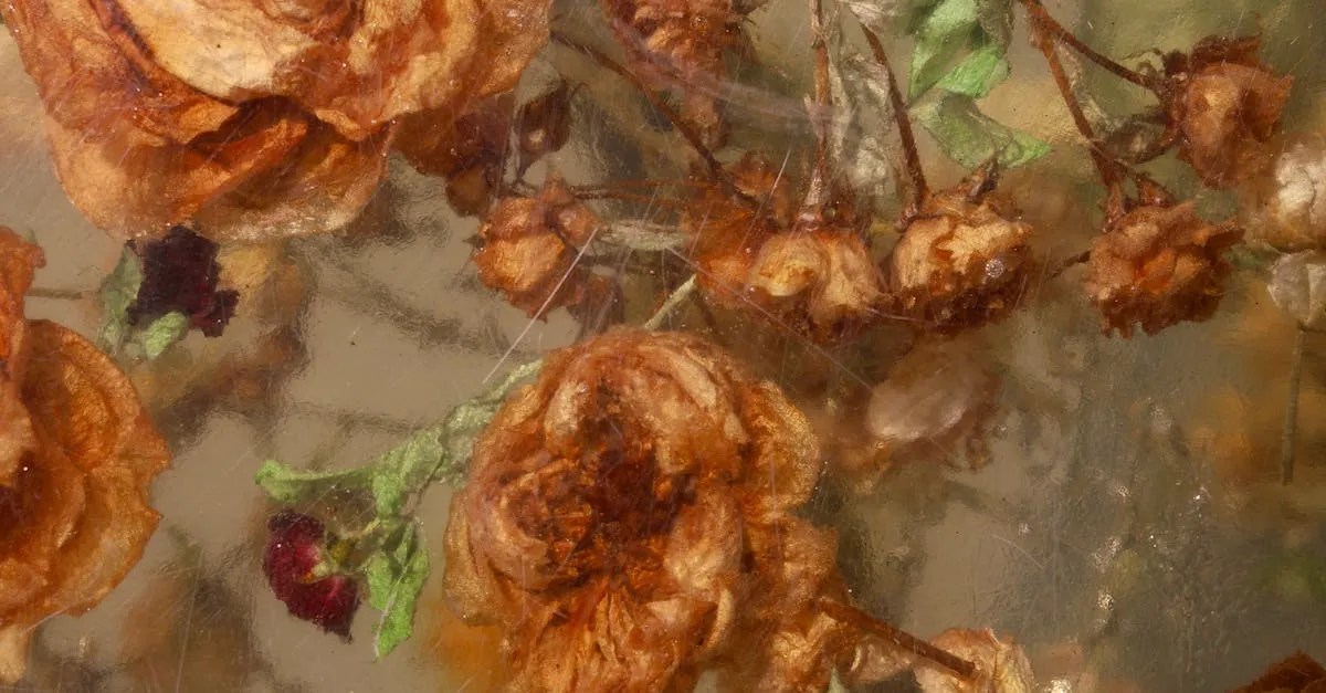 Is NonToxic Uv Resin Safe?