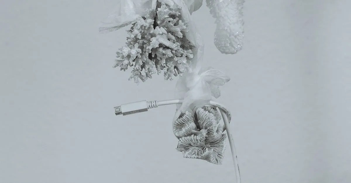 Are Mrs. Meyers Cleaning Products NonToxic?