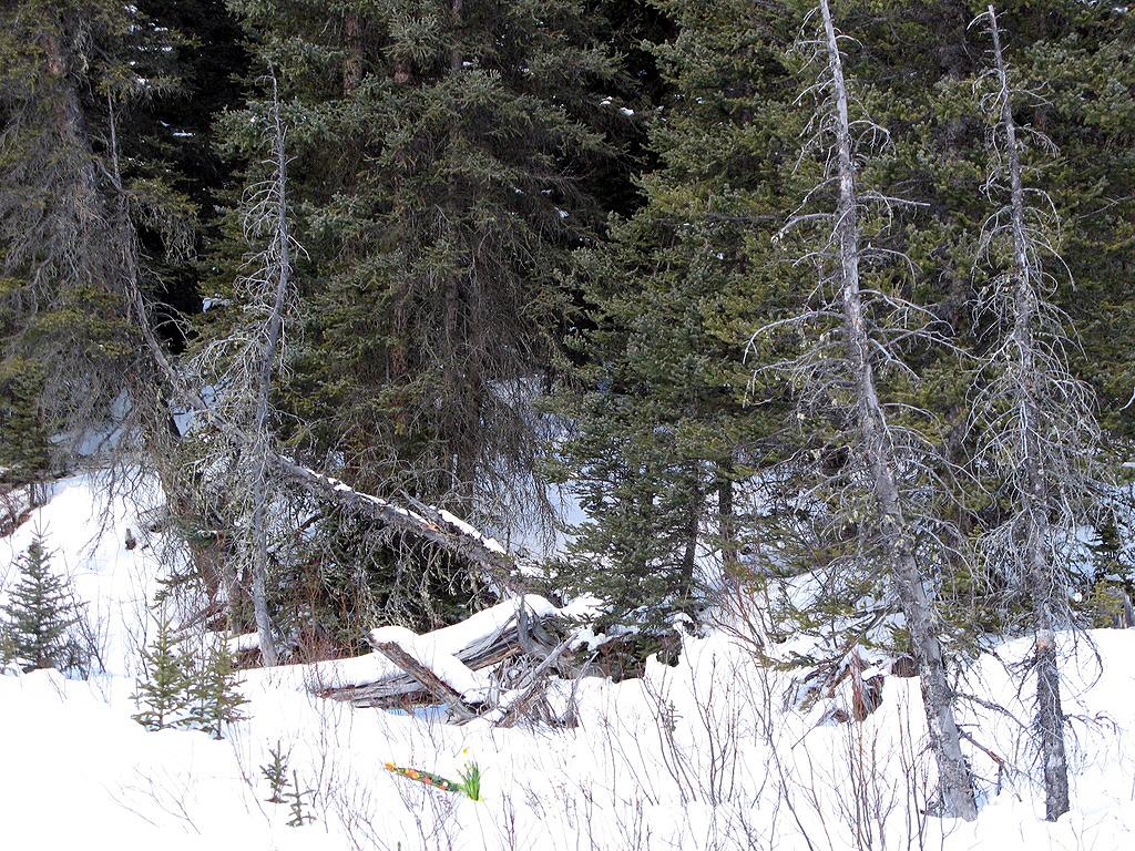 Chapter 05 Forty Winks Detail