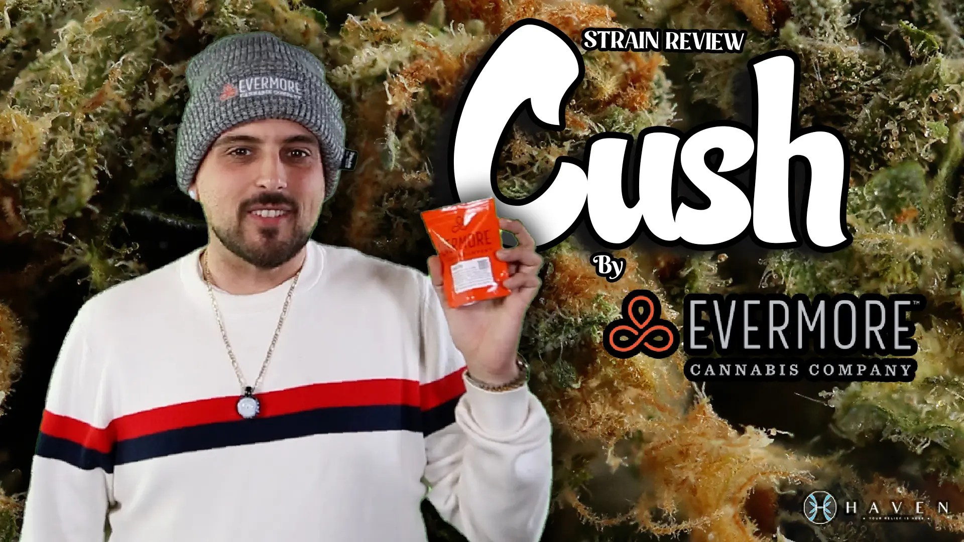 Cush by Evermore Haven