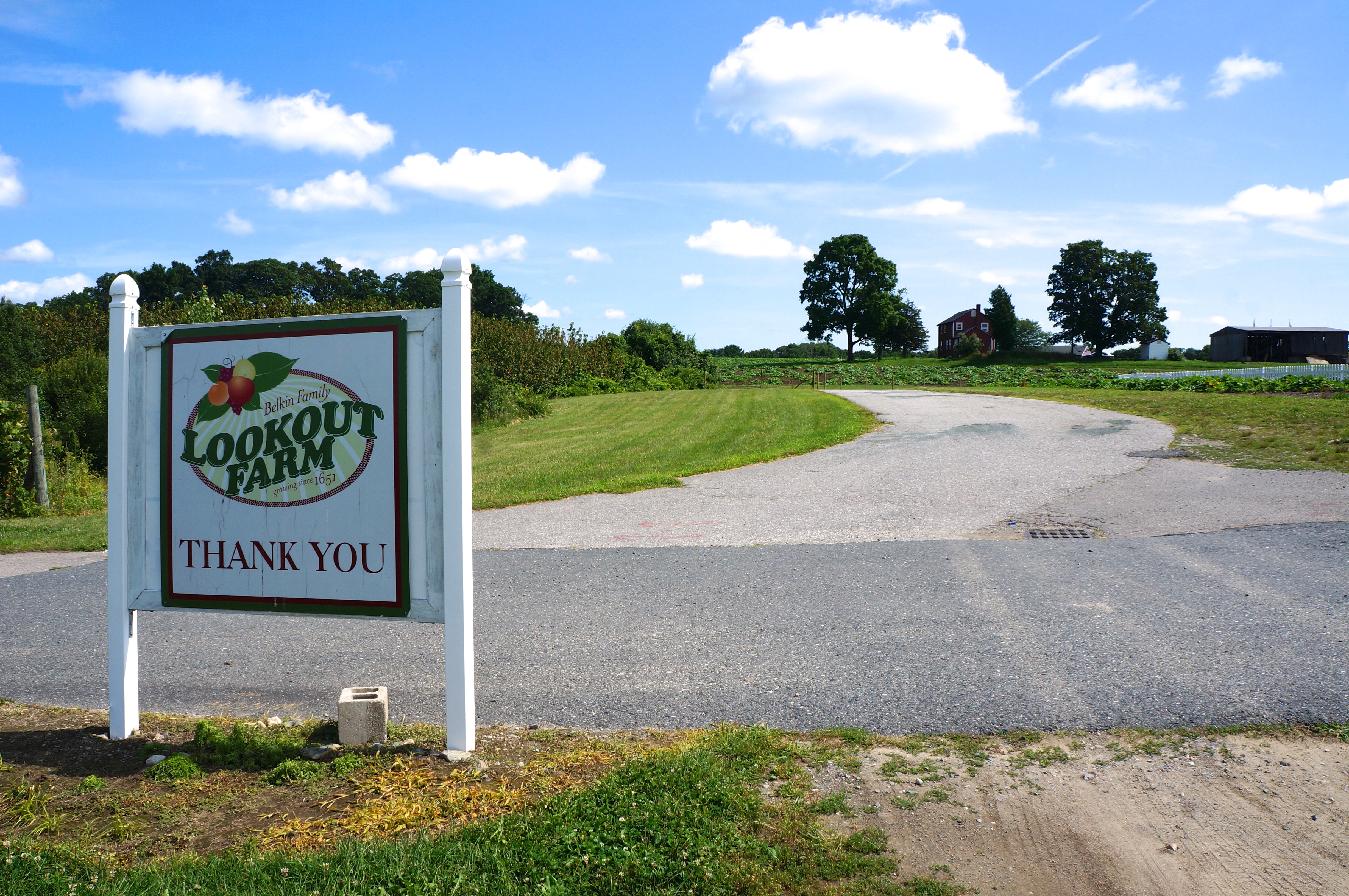 Belkin Lookout Farm Finding Lovely