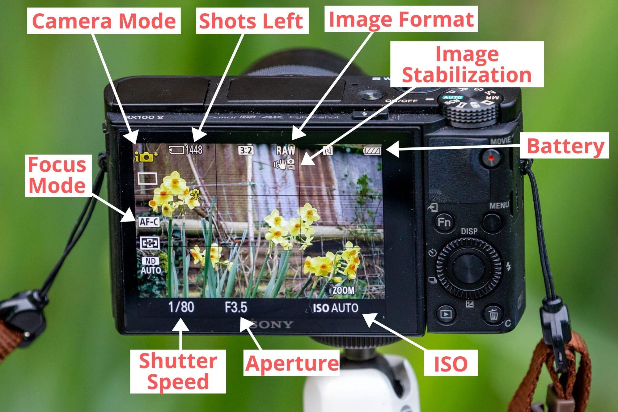 How to Use a Point and Shoot Camera A Detailed Guide to Compact