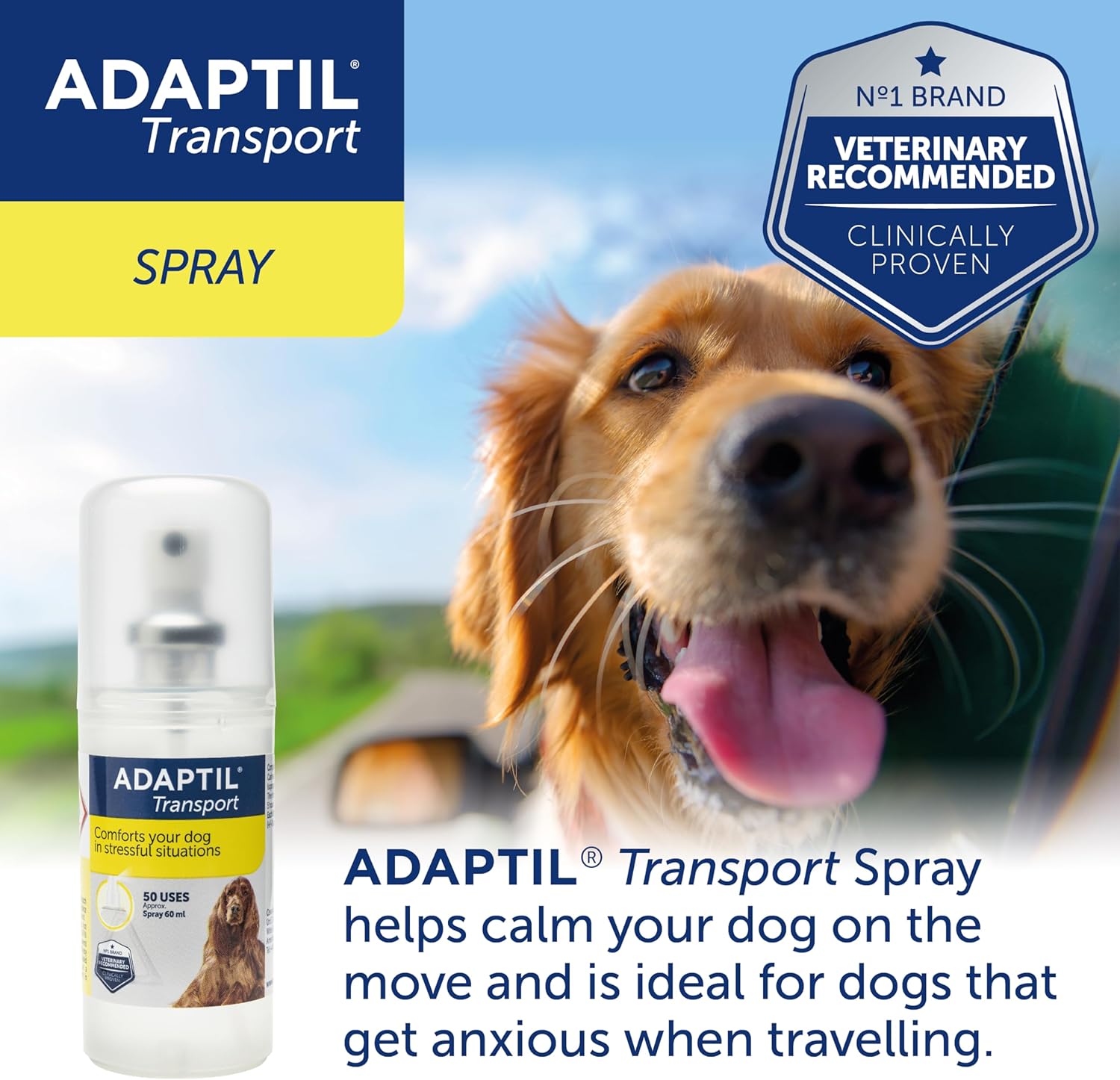 DH4 Dog walking and boarding Home Boarding in Sunderland, Tyne and Wear