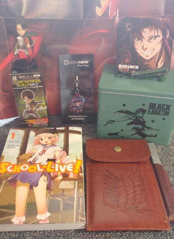 April 2017 Loot Anime Review HUMANITY + Coupon Find