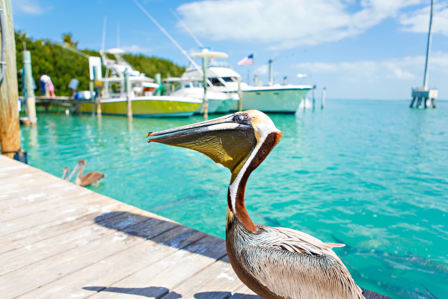 5 Reasons to Move to Islamorada Find Your Florida