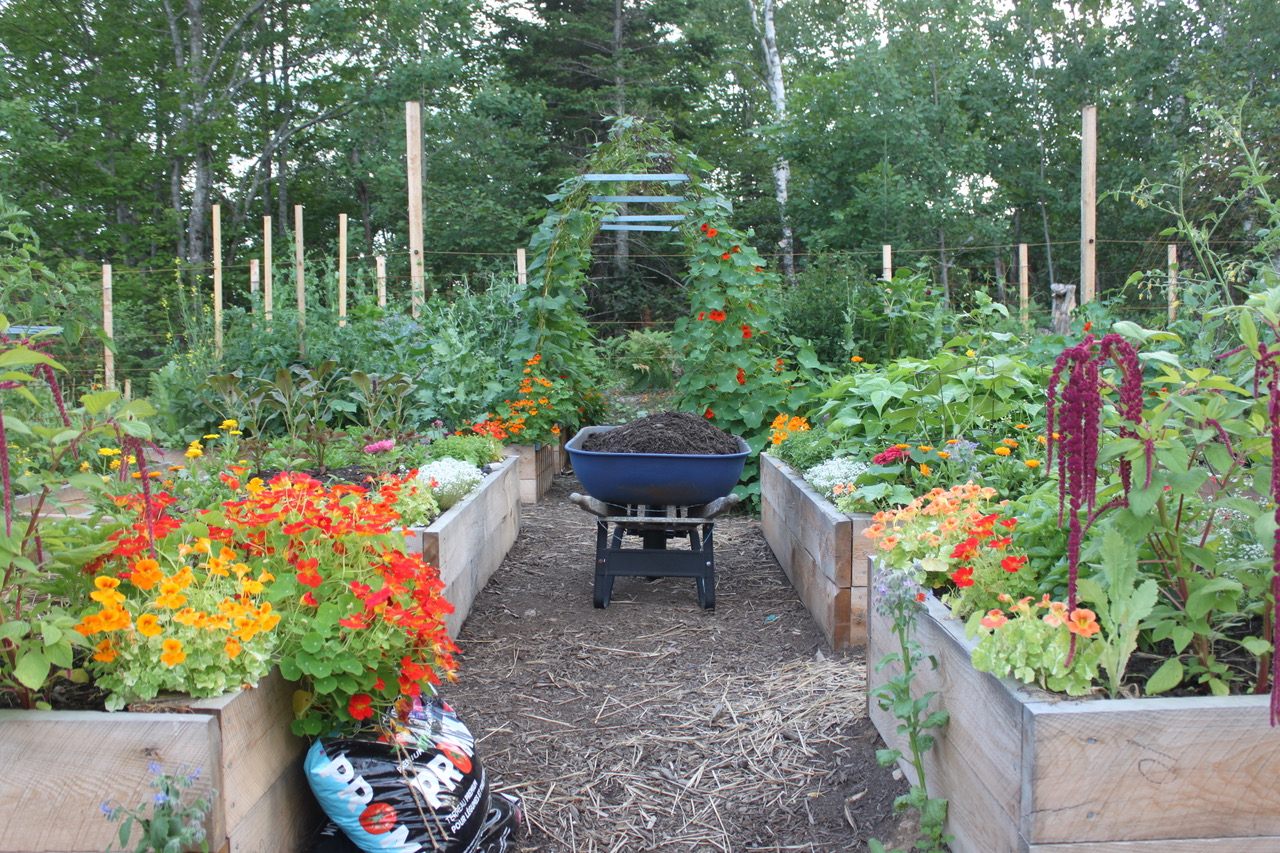 Vegetables Can Be Beautiful Too FineGardening