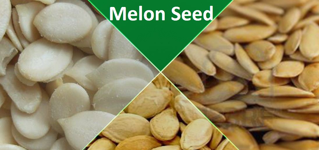 List of Nigeria Cash Crops and Agricultural Produce For Exports