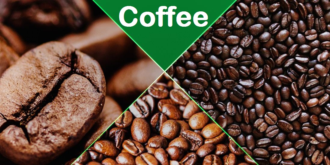 List of Nigeria Cash Crops and Agricultural Produce For Exports