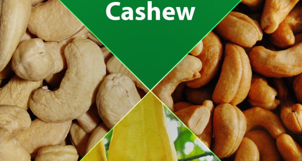 List of Nigeria Cash Crops and Agricultural Produce For Exports