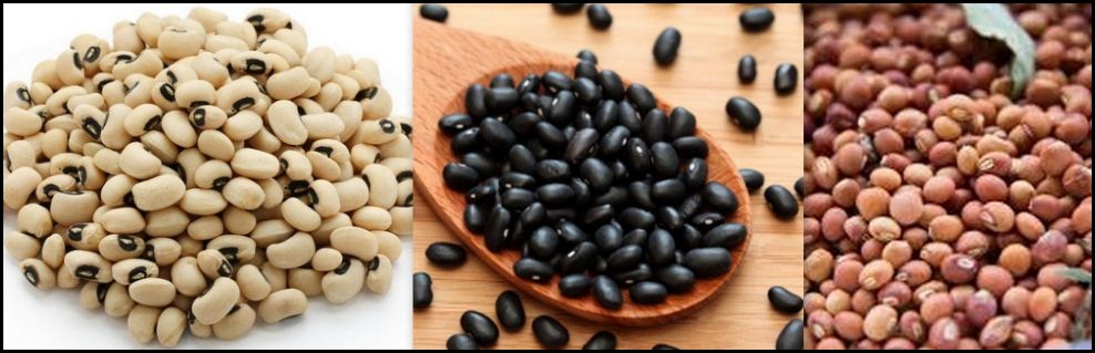 It is relished as a native delicacy and contributes significantly to the meals in the south eastern part of. Cowpeas 10 Incredible Health Benefits Of Cowpeas Beans Finelib Com