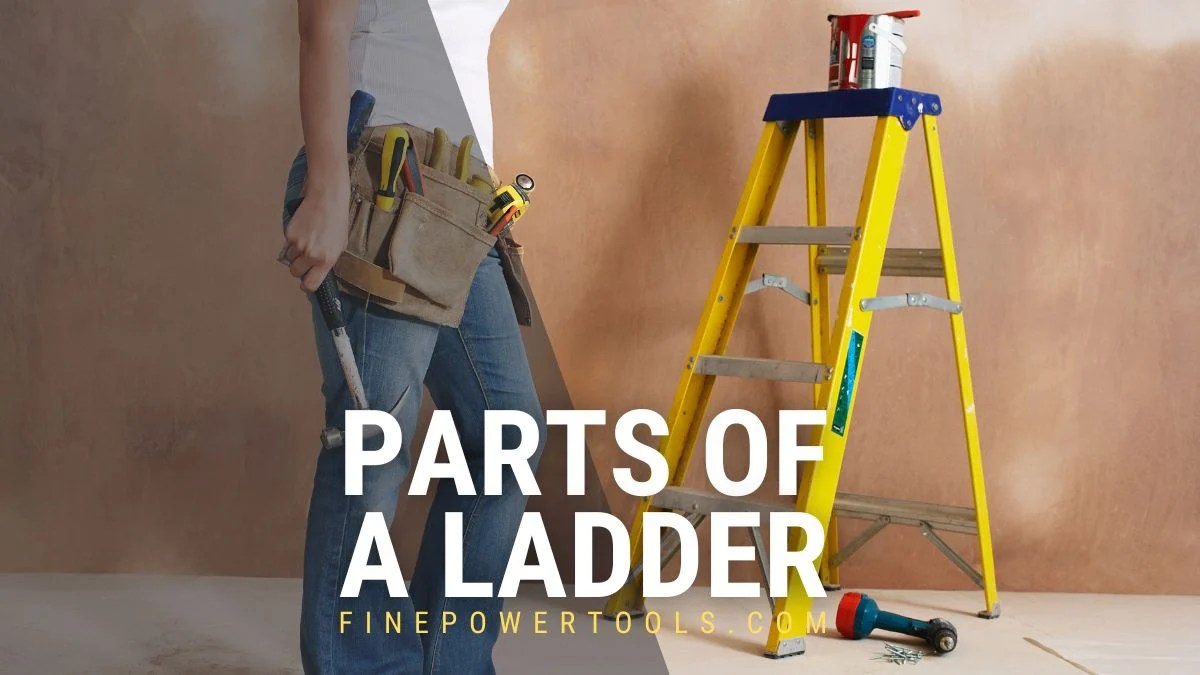 Parts of a Ladder (Explained With Diagram)