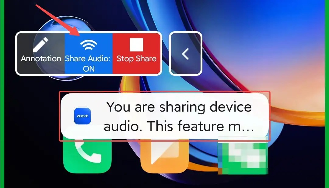 How to Share Audio on Zoom on Desktop and Mobile Apps [2024]