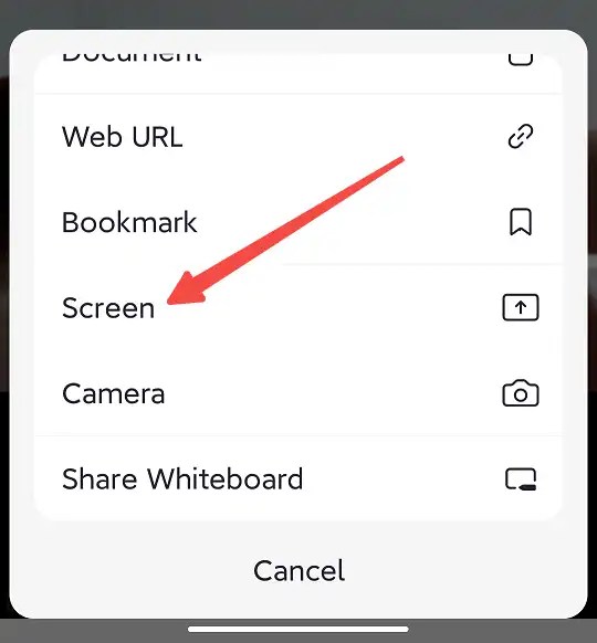 How to Share Audio on Zoom on Desktop and Mobile Apps [2024]