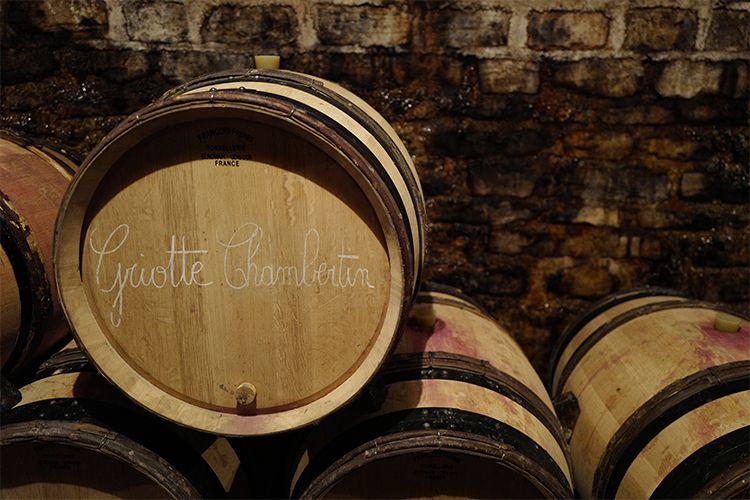 Domaine Claude Dugat The Fine Wine Experience