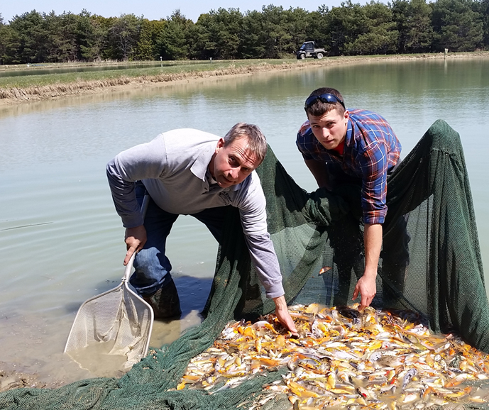 Fin Farm LLC