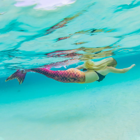 Bronzed Ruby Mermaid Tail FinFriends