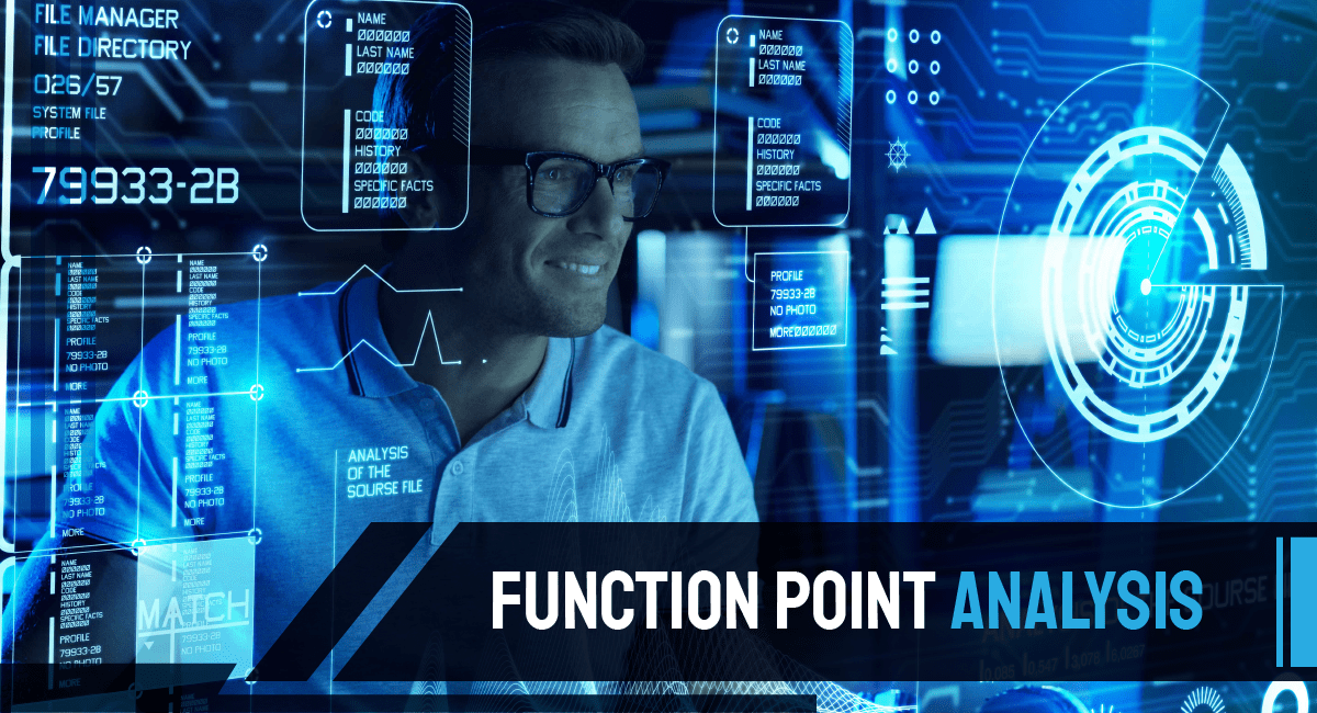 Function Point Analysis Introduction and Fundamentals Fingent