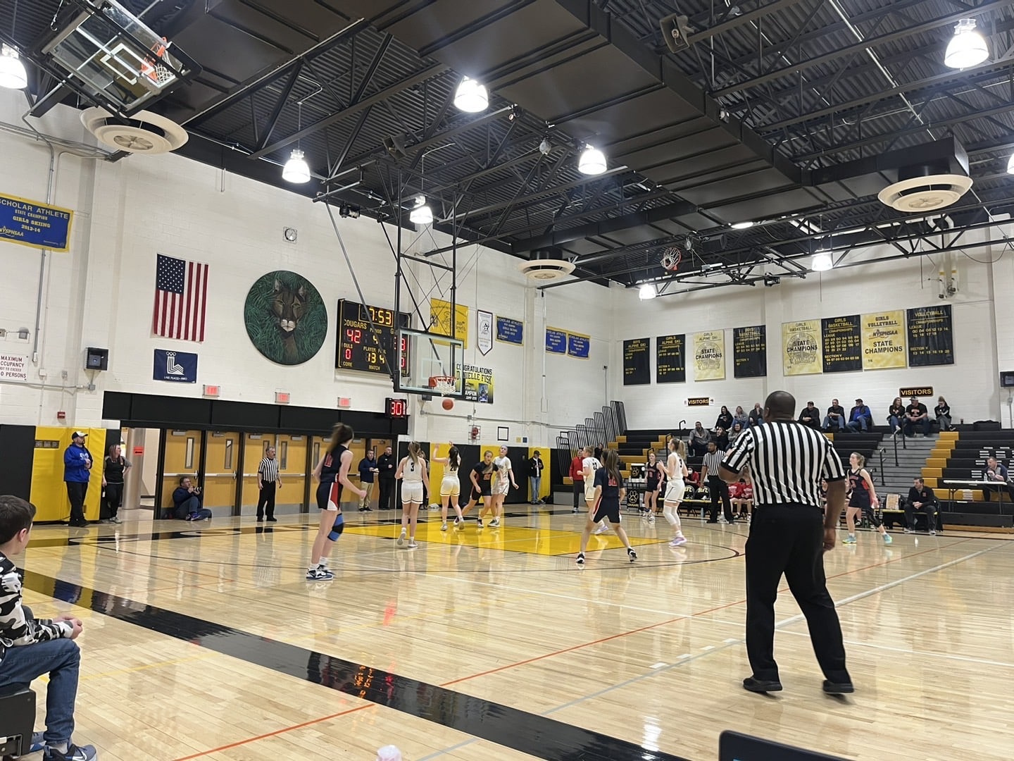 MONDAY HS BASKETBALL SECTIONAL REPORT Mynderse girls season ends