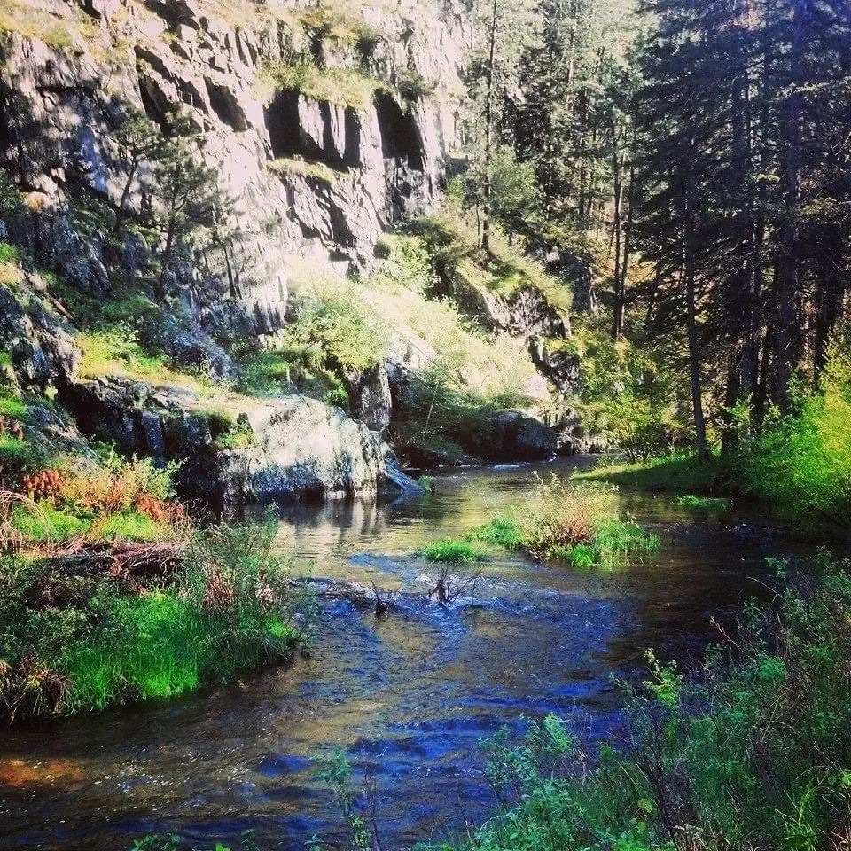 Finn Provisions Guided Fly Fishing Spearfish Canyon, SD