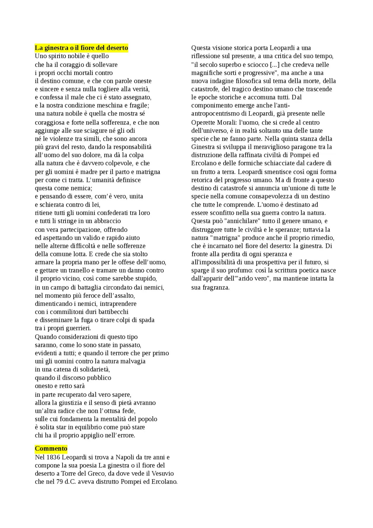 La Ginestra Riassunto Sul Fiore Del Deserto Fioreria L'Orchidea