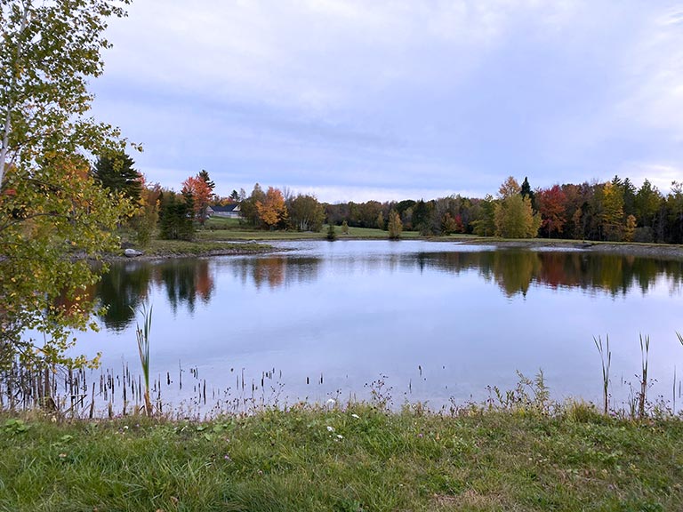 Firefly Kennel, LLC Maine Dog & Cat Boarding Kennel, Doggy Daycare