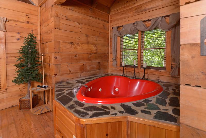 Pigeon One Bedroom Cabin Rental WhirlpoolHot TubTheater System