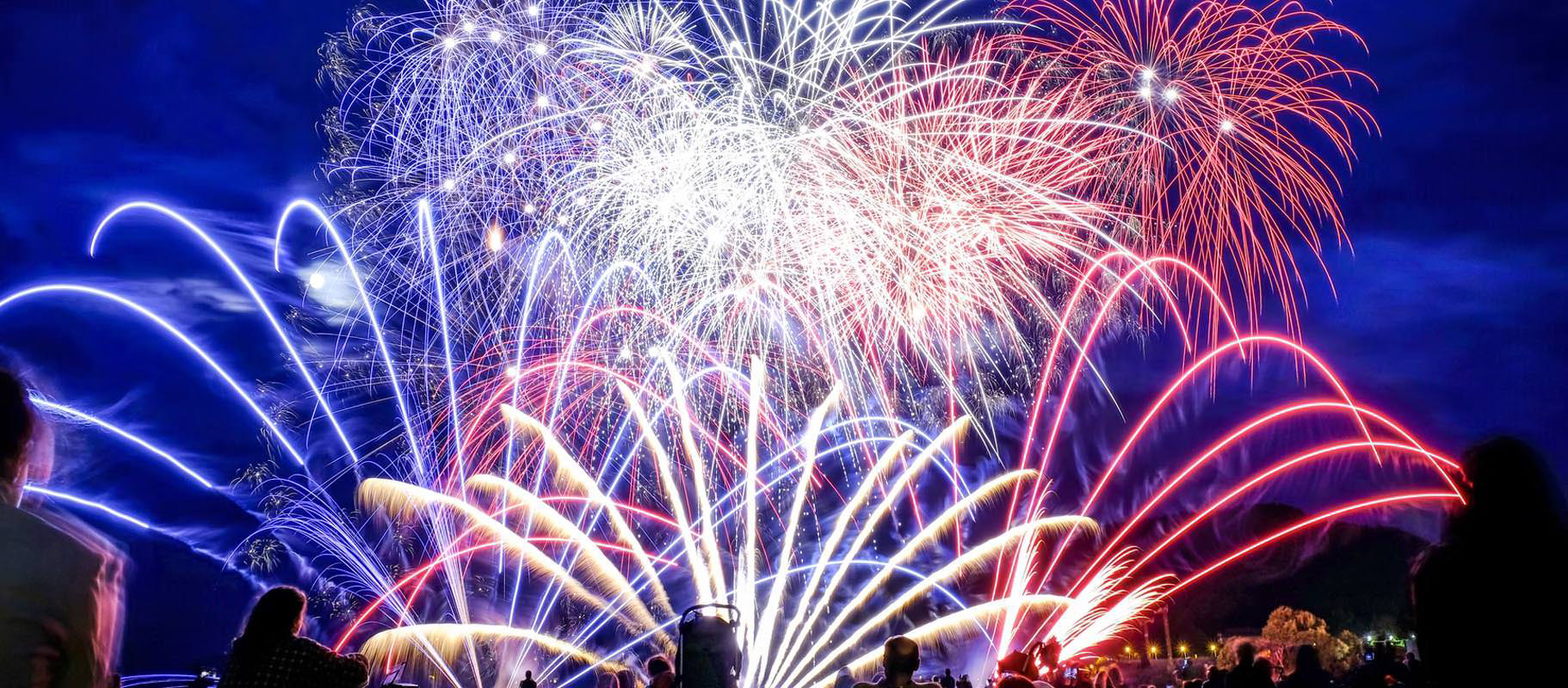 Types Of Fireworks Ghengis Fireworks