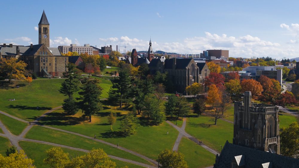 Cornell University Faculty Institutional Recruitment for Sustainable