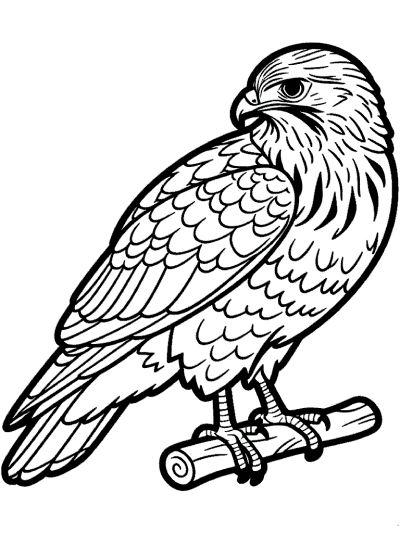 Free Printable Eagle Coloring Pages