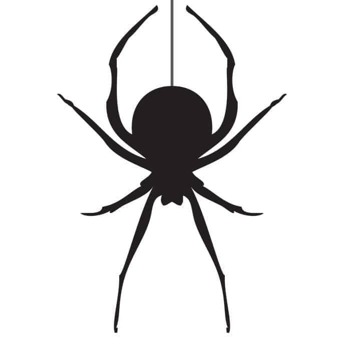 First Choice Pest Management Massillon Pest Control Massillon.