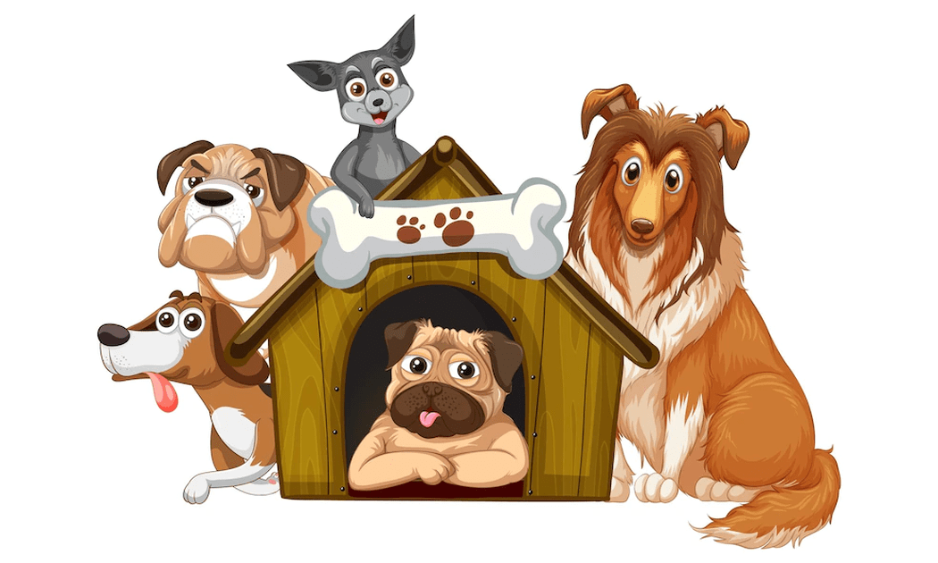 How to Use Your Pet Time Productively in 2023 FIRST COMICS NEWS