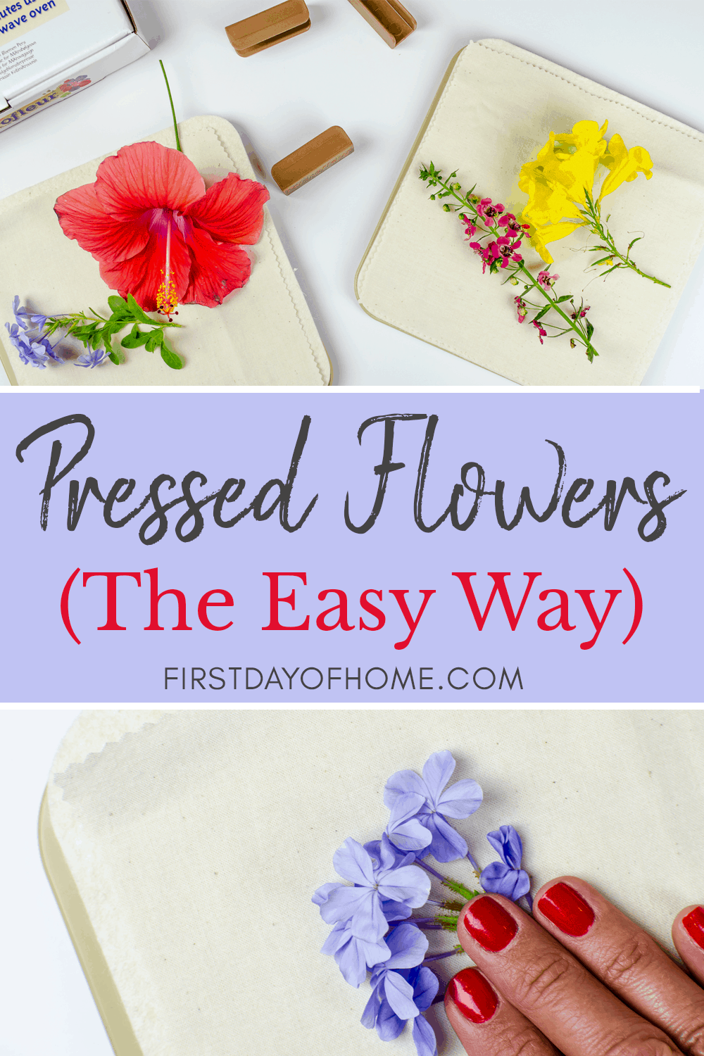 How to Make DIY Pressed Flower Art The Easy Way