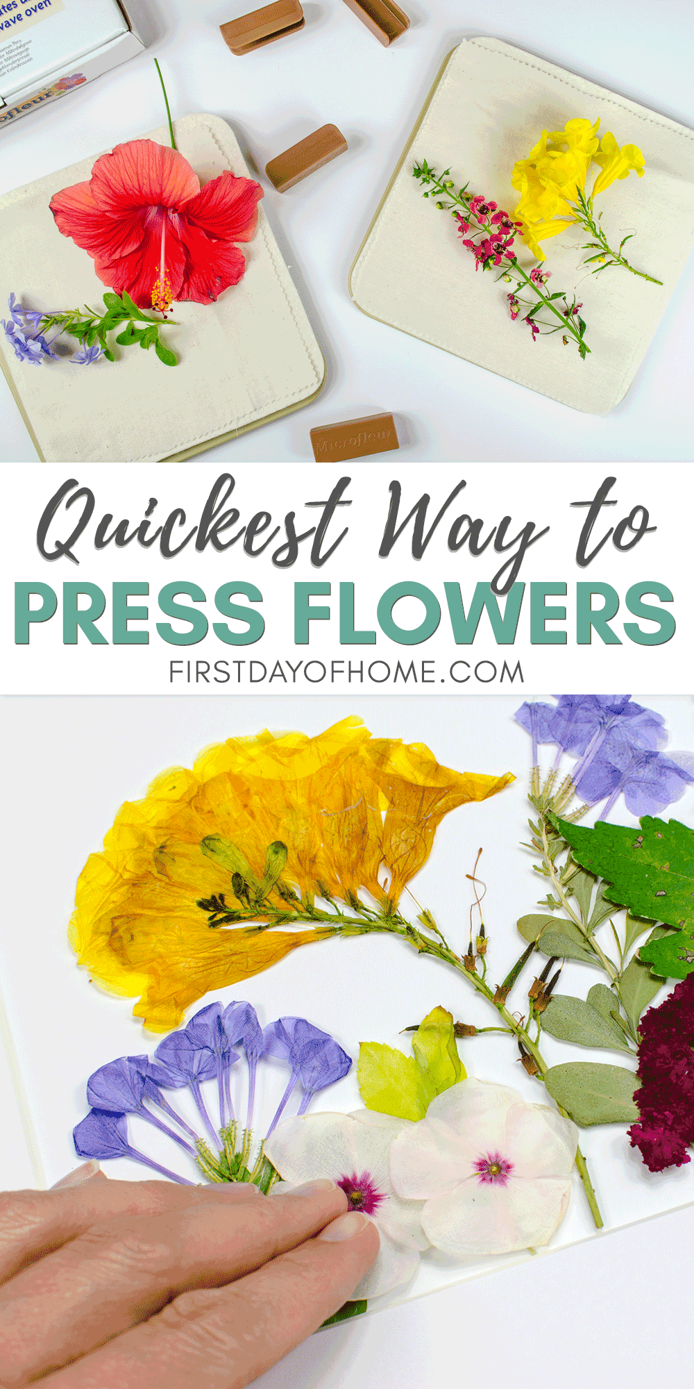 How to Make DIY Pressed Flower Art The Easy Way