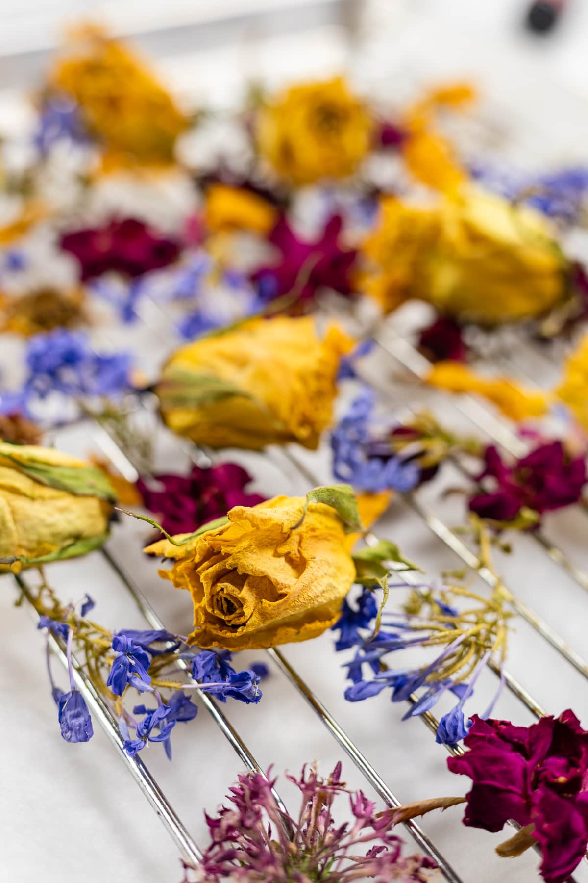 How To Dry Out Flowers For Potpourri Best Flower Site