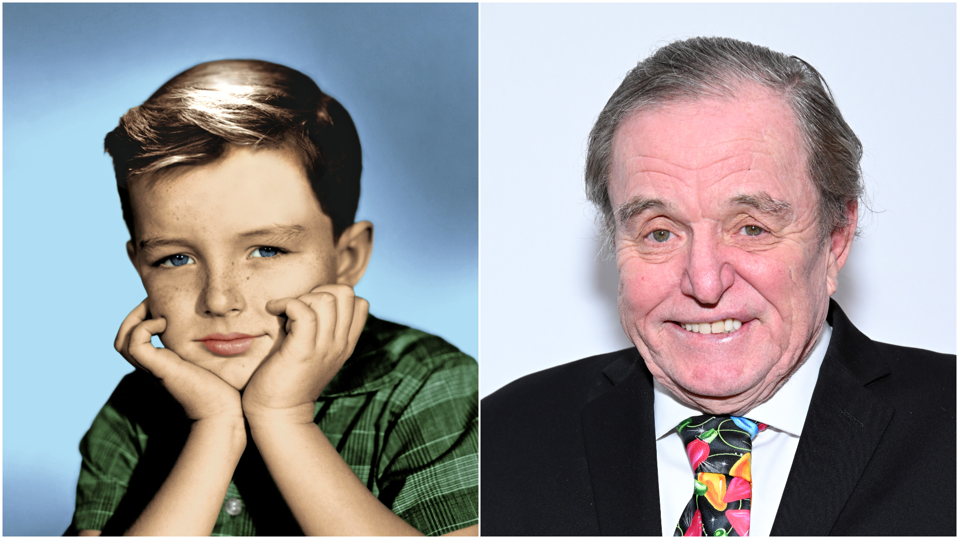 Leave It to Beaver Star Jerry Mathers Grows Up Through These 15 Photos(03)