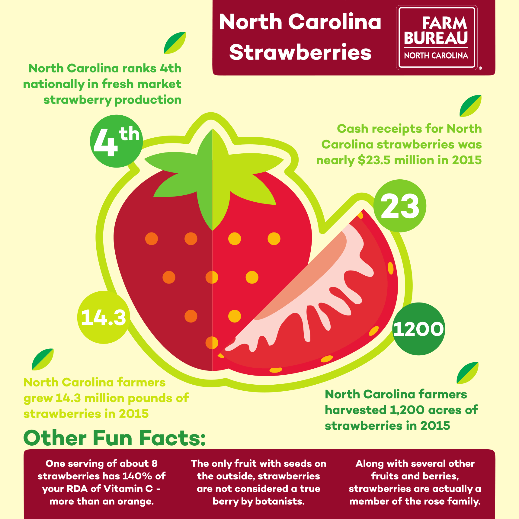 Industry Spotlight NC Strawberries! First Furrow