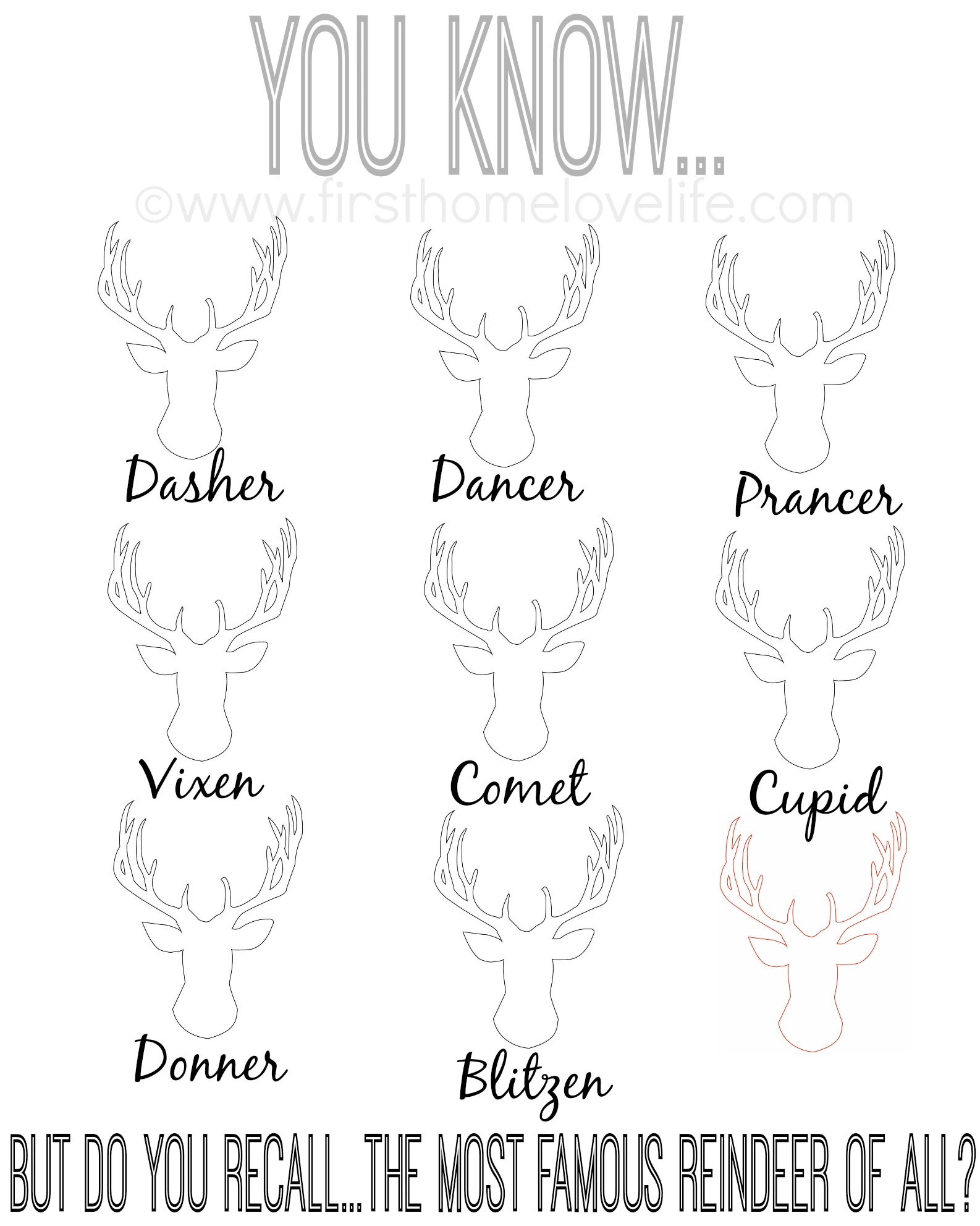 Names Of The Reindeer In Order