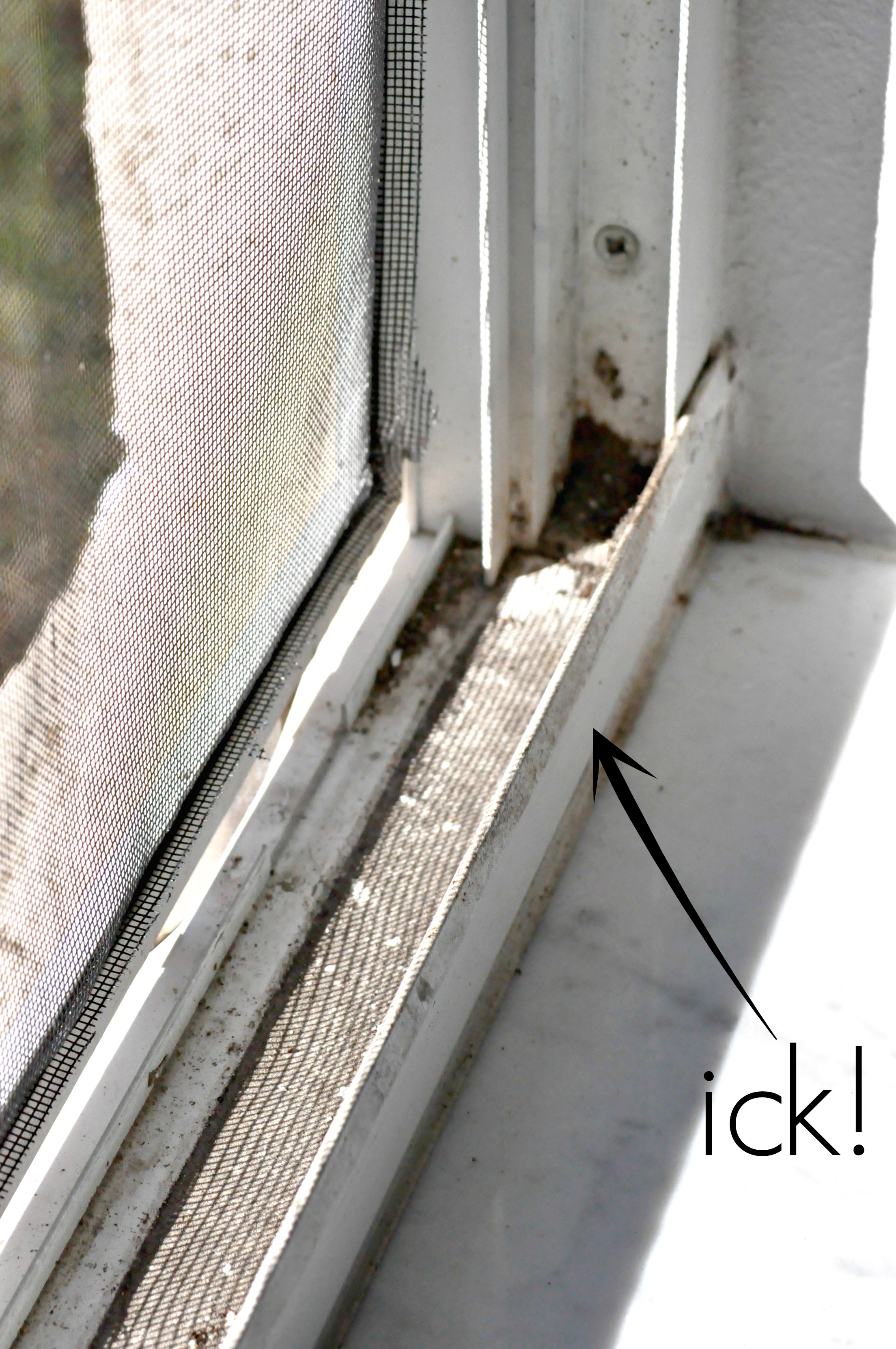 Window Cleaning How To Clean Window Tracks