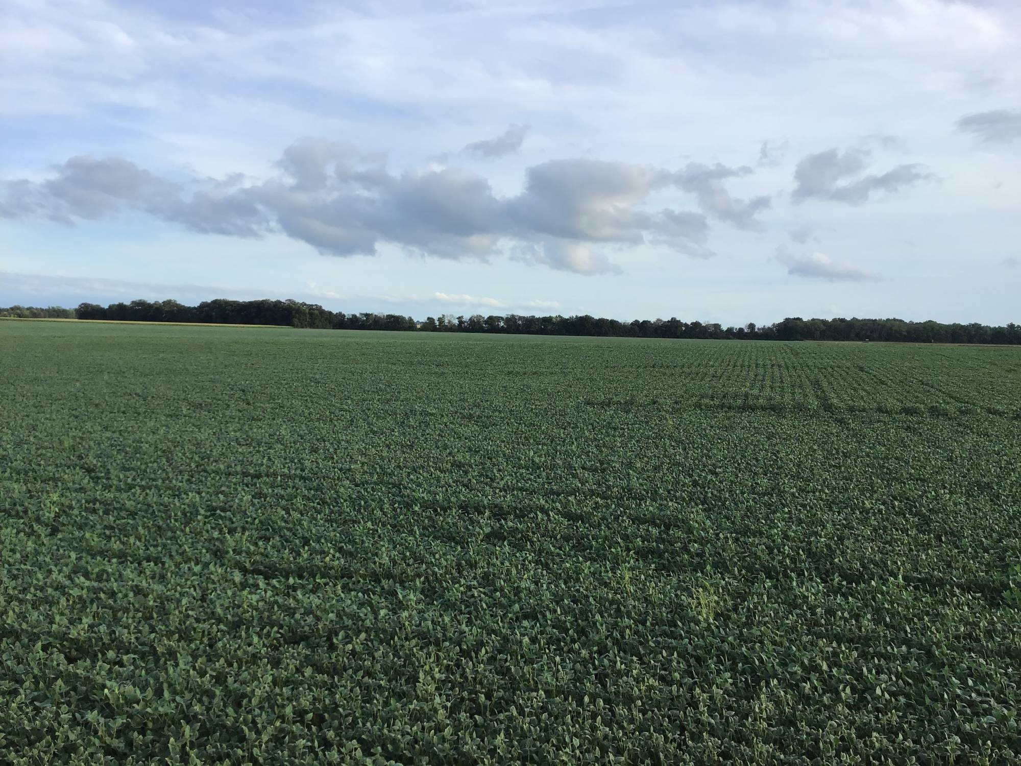 The Ramsey Farm First Mid Agricultural Services