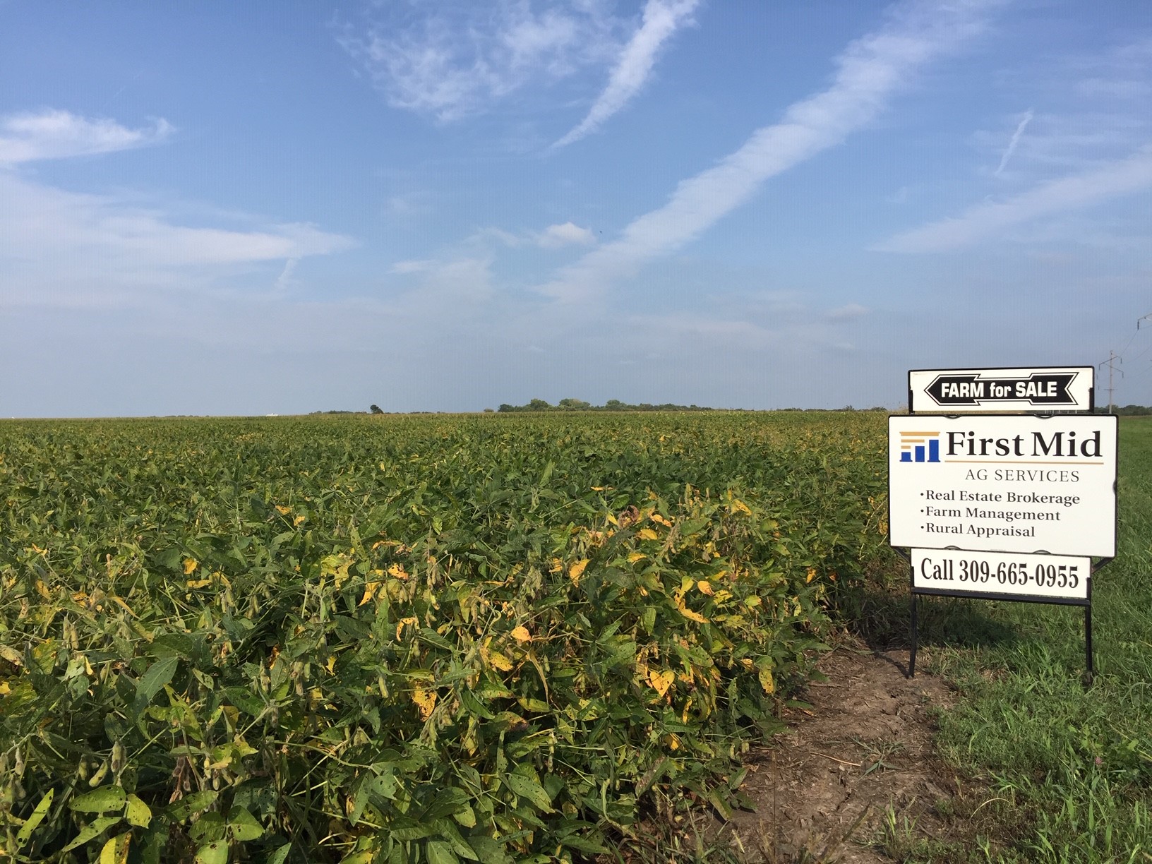 The Vandalia LLC Farm First Mid Agricultural Services