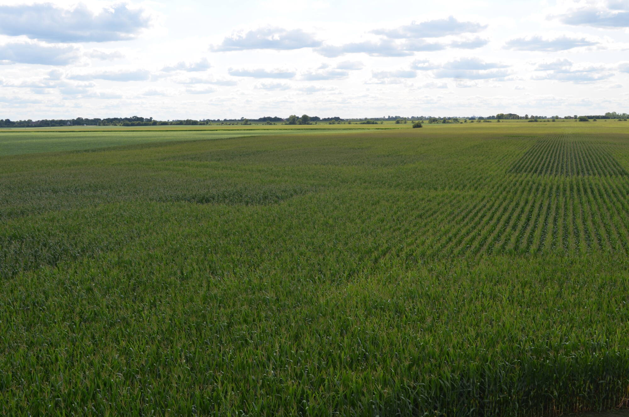 The Price Family Farm First Mid Agricultural Services