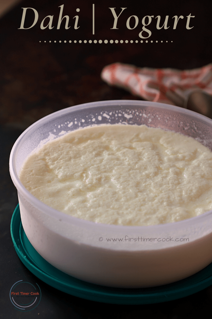 Homemade Curd aka Dahi First Timer Cook