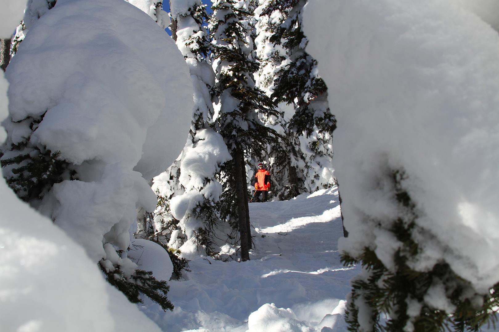Body of Missing Lost Trail Skier Found First Tracks!! Online Ski Magazine