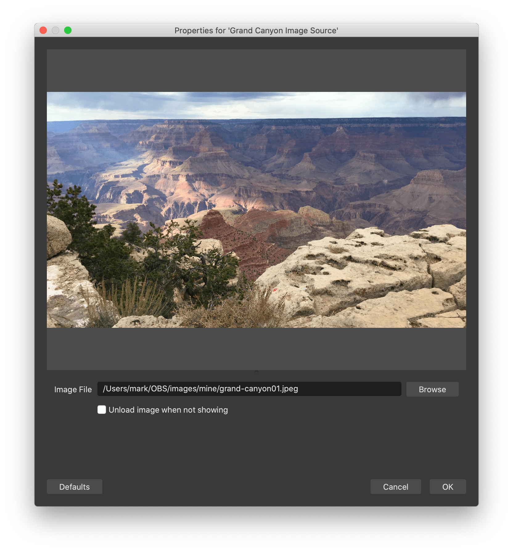Zoom Meetings with OBS an iPhone and a green screen