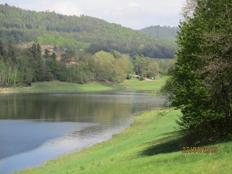 Eixendorfer Stausee Fischereiverein e.V. Neunburg vorm Wald