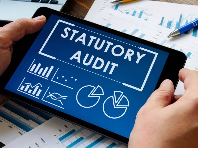 What is a statutory audit? How is it important for listed companies